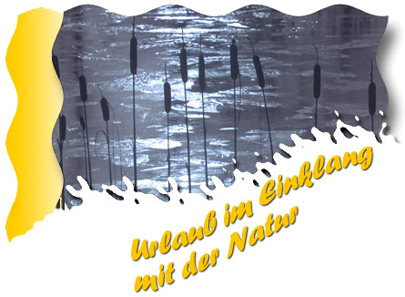Titelbild